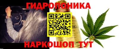 эйфоретик Дмитров