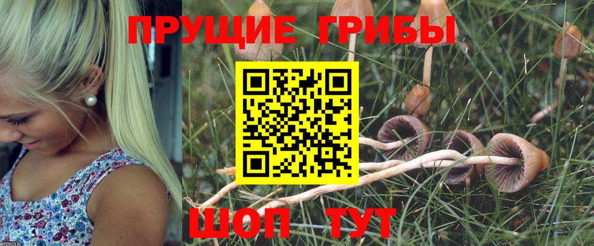 Галлюциногенные грибы GOLDEN TEACHER Саратов